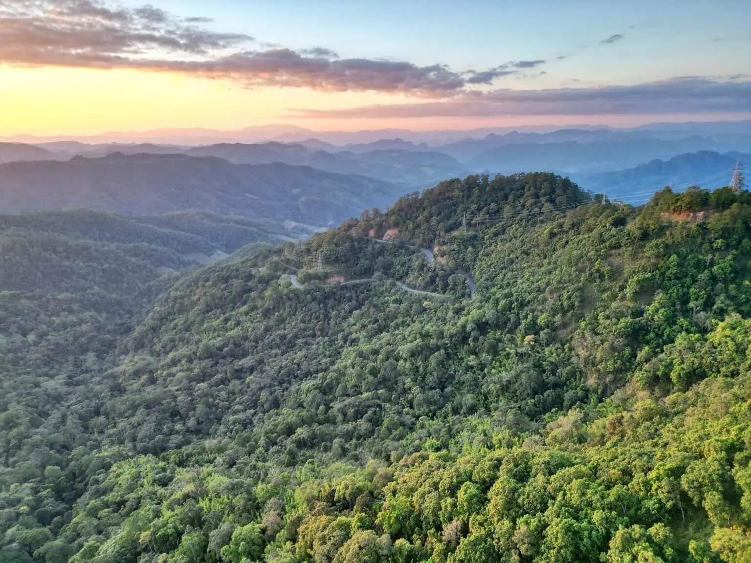 Mae Hong Son and Chiang Mai forests