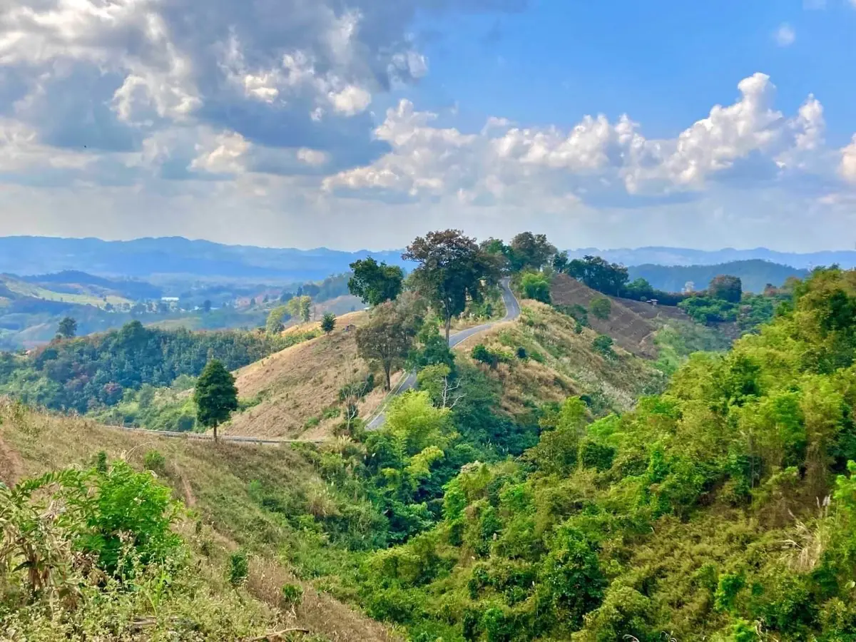 Rice paddies and mountain scenery in Northern Thailand