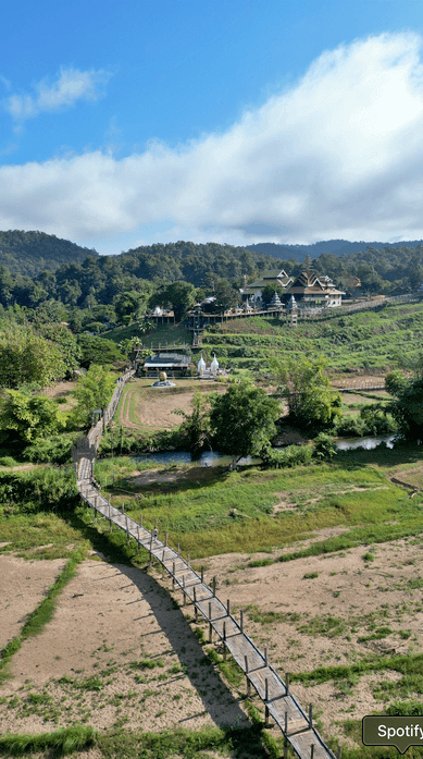 bamboo bridge 